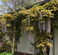 Clarence Cottage - Darwin Tourism