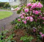 Anabels of Scottsdale - Darwin Tourism