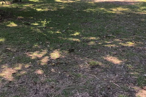 Dunk Island View Caravan Park - Darwin Tourism 3