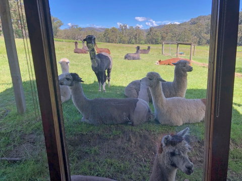 Valley Farm Vineyard Cottages - Darwin Tourism 2