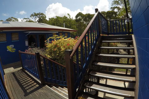Cool Bananas Backpackers - Darwin Tourism 5