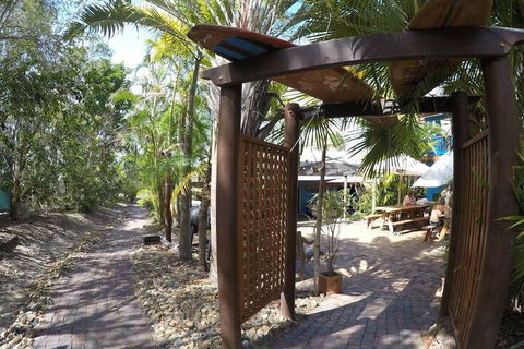 Cool Bananas Backpackers - Darwin Tourism 6