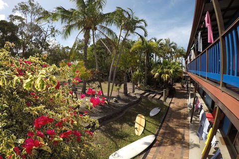 Cool Bananas Backpackers - Darwin Tourism 2