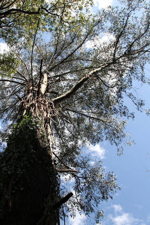 Gatehouse Cottage At Merrow Cottages - Mt Dandenong - Darwin Tourism 4