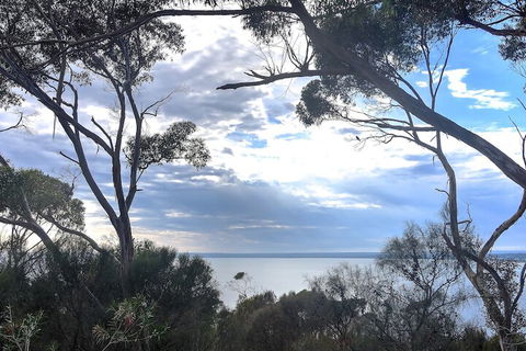 Wanderers Rest Of Kangaroo Island - Darwin Tourism 7