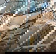 Platinum Suites Fremantle - Darwin Tourism