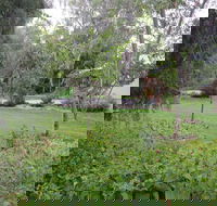 Amy's House - Darwin Tourism
