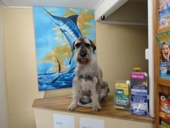 Marlin Motel - Darwin Tourism 2