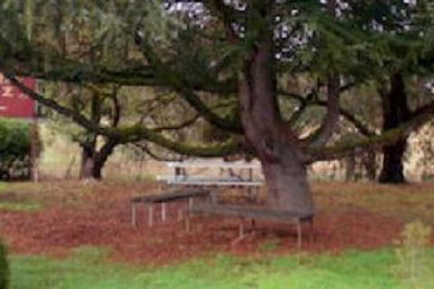 Auburn Shiraz Motel - Darwin Tourism 0