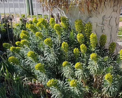 Golden Age Motor Inn Queanbeyan - Darwin Tourism 2