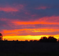 Centretown Motel Nagambie - Darwin Tourism
