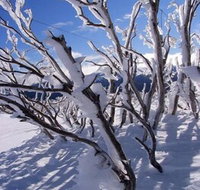 Ripparoo Ski Lodge - Darwin Tourism
