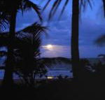 Sejala Beach Huts - Darwin Tourism