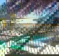 Must Love Dogs Bb - Darwin Tourism