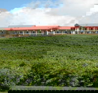 Turners Vineyard Motel and Function Centre - Darwin Tourism