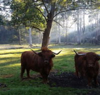 Dingley Dell - Darwin Tourism