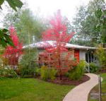 Dalrymples Guest Cottages - Darwin Tourism