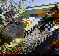 Big4 Shepparton Park Lane - Darwin Tourism