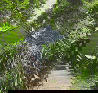 Montagues of Montville - Darwin Tourism