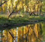 On The Banks - Darwin Tourism