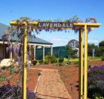 Lavendale Farmstay  Cottages York - Darwin Tourism