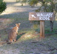 Wallaby Ridge Retreat - Darwin Tourism