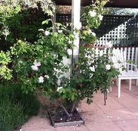 Ellesmere House - Darwin Tourism