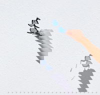 The Sails Motel Brunswick Heads - Darwin Tourism