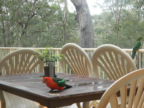 Aqua Vista - Darwin Tourism 4