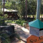 Sea Nest - Darwin Tourism 0