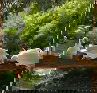 The Burrow At Wombat Bend - Darwin Tourism