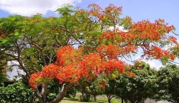 Chatsworth QLD Darwin Tourism