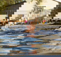 Riverside Cabin Park - Darwin Tourism