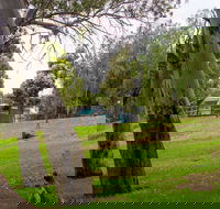 Windsor Gardens Caravan Park - Darwin Tourism