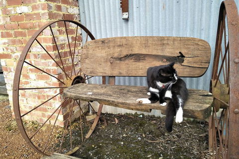 A Twist Of Willow - Darwin Tourism 7