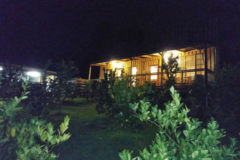 A Twist Of Willow - Darwin Tourism 4