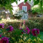 A Country Barn Retreat - Darwin Tourism 0