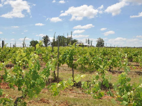 Beggars Bridge Vineyard Homestead W / Pool + Wifi + Tennis + Vineyard - Darwin Tourism 1