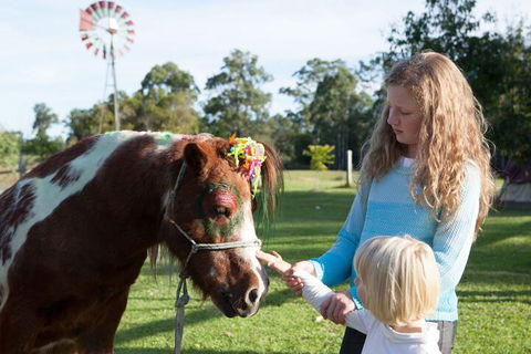 Kings Creek Retreat - Darwin Tourism 5
