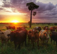 Myella Farm Stay - Darwin Tourism