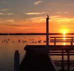 Bayview Boathouse - Darwin Tourism