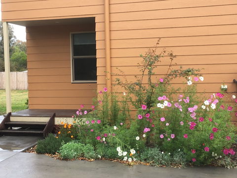 The Nest At Gundaroo - Darwin Tourism 0