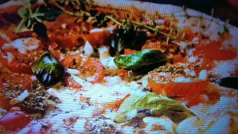 Alfio's Pizzeria - Darwin Tourism 0