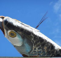 Fish Creek Hotel Motel - Darwin Tourism