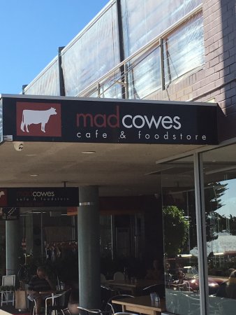 MadCowes Cafe - Darwin Tourism 0