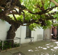 The Vine - Darwin Tourism