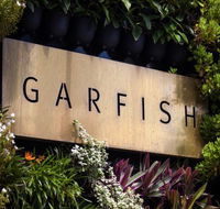 Garfish - Darwin Tourism