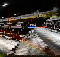 The Duck on Clarence