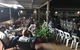 Johnny Wong's Dumpling Bar - thumb 8