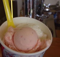 Bermagui Gelati Clinic - Darwin Tourism